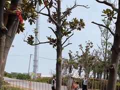 -南汇新城海滩