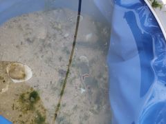 -玫瑰海岸文化旅游度假区