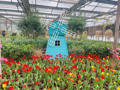 -南宫五洲植物乐园