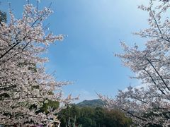 -杭州少年儿童公园