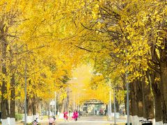 -四川大学(望江校区)
