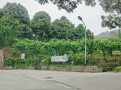 -缙云山景区