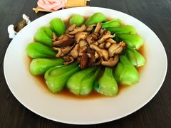 香菇油菜-鲁南仔·滕州炒鸡(经三路店)