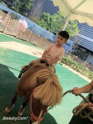 -萌宠亲子动物乐园(槐房万达店)