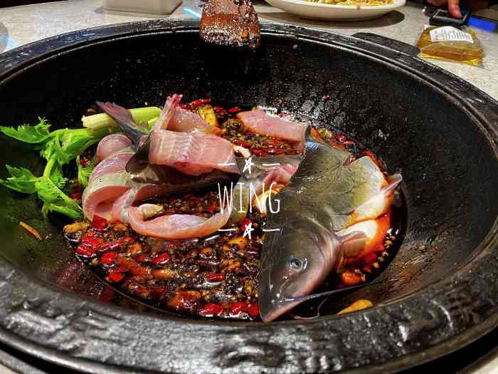 大鱼山房河鲜火锅·十八年成都老味道