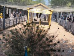 -长白岛森林公园