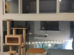-有猫主题·治愈系猫咖(曾厝垵店)