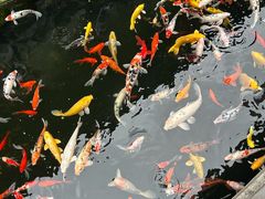 -西林禅寺