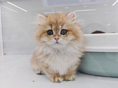 -大渝火锅(百乐广场店)