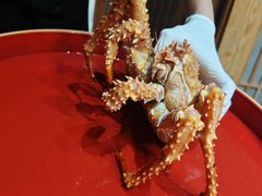 -黑木原精致料理·铁板烧