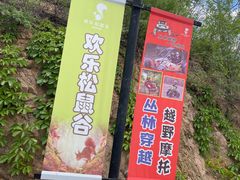 -欢乐松鼠谷