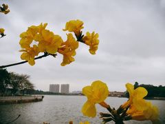 -仙湖旅游度假区