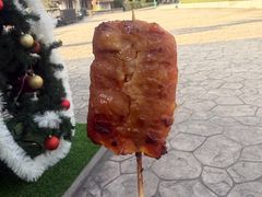 -清迈夜间动物园