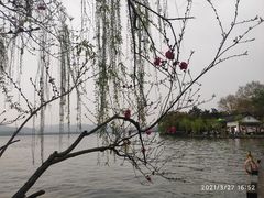 -索菲特西湖大酒店·香榭丽全日候餐厅(南山路店)