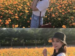 -亚龙湾国际玫瑰谷