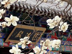 -护国法轮寺