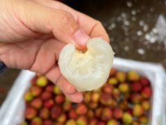 -双福水果批发市场