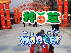 -沈阳奥体冰雪嘉年华