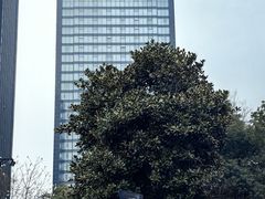 -浙江三立开元名都大酒店