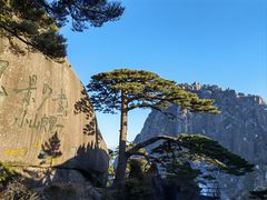 -黄山风景区