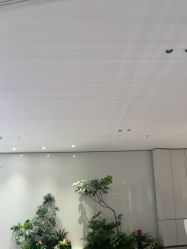 -广州美莱医疗美容医院