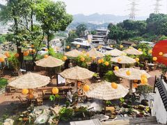 -伴山茶苑·一盏冰茶·半日山居
