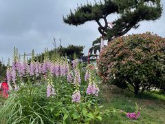 -唐城墙遗址公园