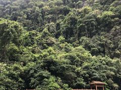 -大七孔景区-天生桥