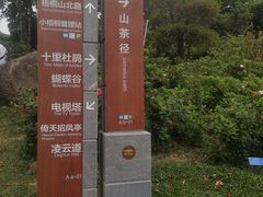 -梧桐山风景名胜区