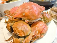 -半岛听涛蒸汽海鲜自助(K11店)