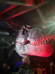 -恐龙探索乐园(磁器口店)