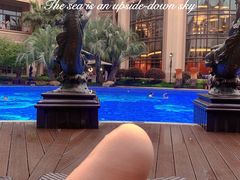 -上海浦东星河湾酒店