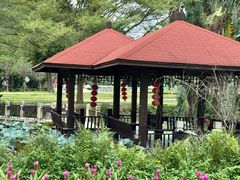 -东南花都花博园