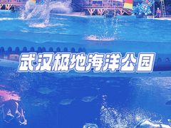 -海合安武汉极地海洋公园
