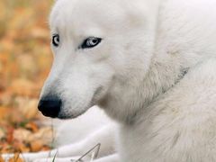 -常州环球恐龙城维景国际大酒店