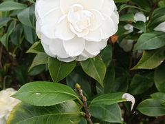 -福建鲤鱼洲酒店