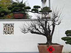 -龙华寺