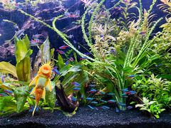 -上海海洋水族馆