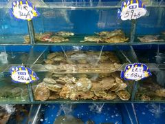 -小船渔村•大连菜•大连焖鱼(明泽街店)
