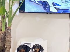 -Double Rui宠物酒店