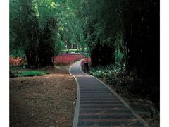 -天河儿童公园