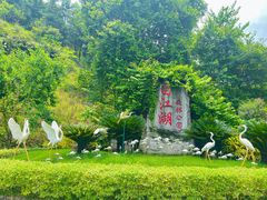 -广州白江湖森林公园