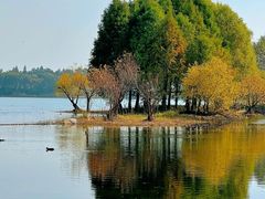 -贡湖湾湿地公园