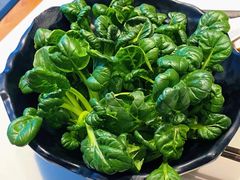 -东椰·海南椰子鸡火锅(朝阳门店)