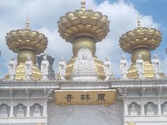 -上海东林寺(金山区)