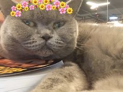 -KingBull私教健身&格斗订制(龙井商业中心店)