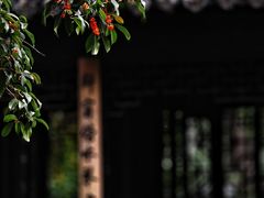 -秋霞圃
