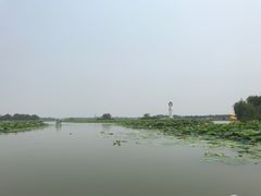 -白洋淀景区