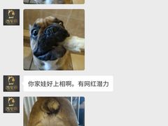 -西元前宠物酒店(郑庄府邸店)