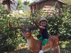 -武清南湖绿博园